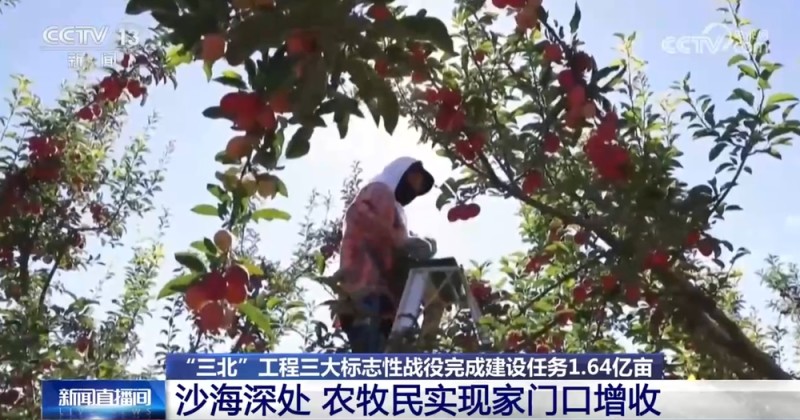 “三北”工程三大标志性战役成效如何?一组数据带你了解