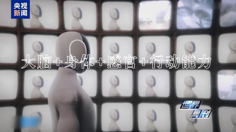 美国退休教授喜提AI伴侣 人类未来的生活搭子：机器人？