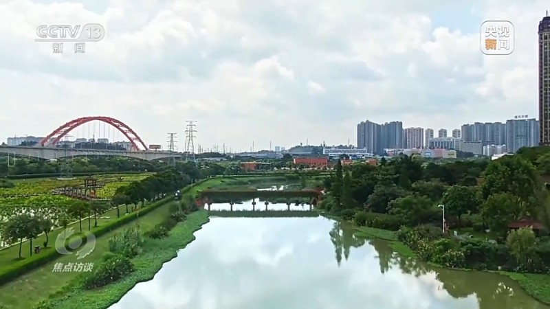 焦点访谈丨城市“绿心”生长记：三城共绘生态宜居图
