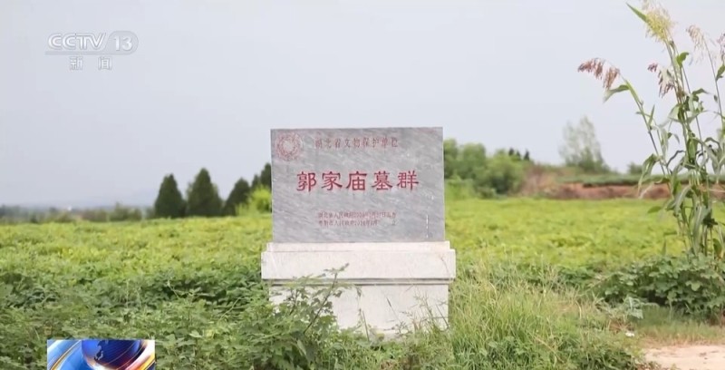 法治在线丨看小说学盗墓挖走20余件国宝 特大盗墓案细节曝光