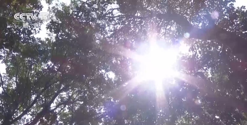 河南7月平均气温破64年最高纪录 农业生活用水是否被影响？何时缓解？