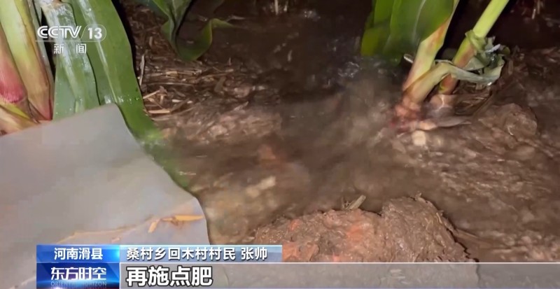 河南7月平均气温破64年最高纪录 农业生活用水是否被影响？何时缓解？