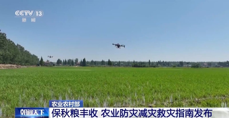 农业防灾减灾救灾指南发布 多措并举保秋粮丰收