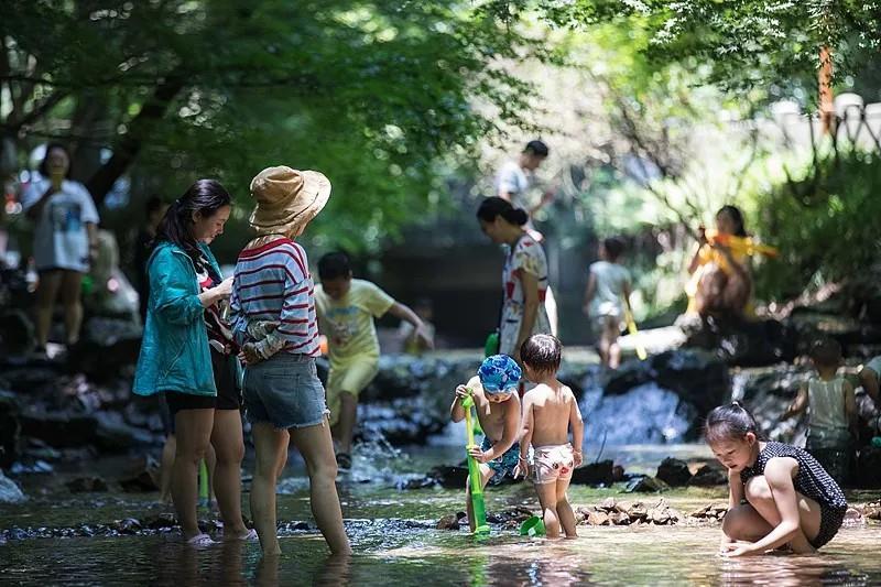 一月两起“食脑虫”夺命悲剧 玩水如何避开致命威胁？