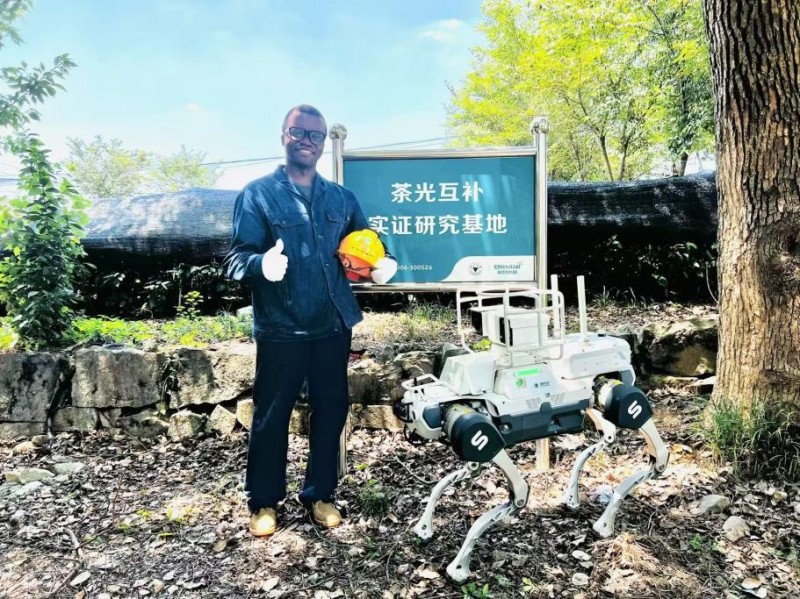 非洲博士点赞中国：一棵樟树下的“两山”魔法