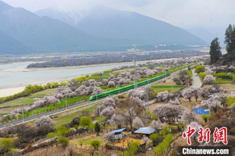 人这一辈子,一定要去一趟西藏!