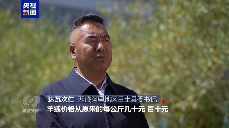 焦点访谈丨白羊绒走出去 新游客走进来 援藏硕果满高原
