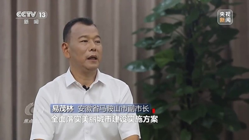 焦点访谈丨城市“绿心”生长记：三城共绘生态宜居图