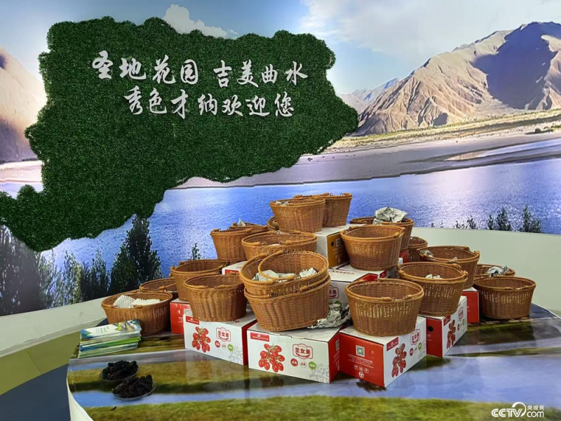 辉煌60年 我们的家园│行走在高原之上：触摸新时代幸福西藏的脉搏