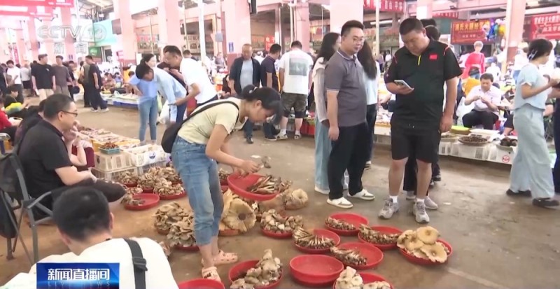 食菌季节来了 云南昆明野生菌“代洗代炸”业务火热