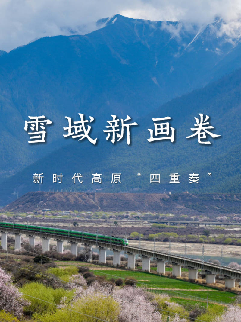 雪域新画卷――新时代高原“四重奏”