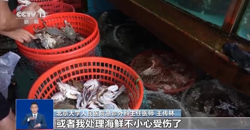 当心“海洋刺客”！男童沙滩踩到死鱼感染这种病菌险些截肢