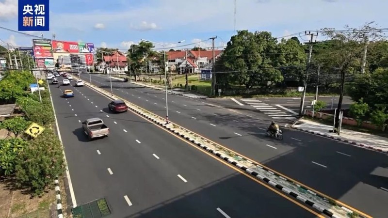 7点出发丨又有人因误食它失去生命!请不要摘!不要吃!