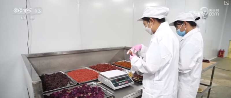 年轻人端起“新饭碗” 职业“上新”折射经济发展动能之变