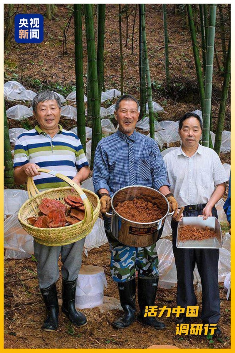 活力中国调研行丨从“浙”里，看中国