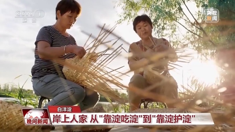 看见美丽中国丨共同守护一泓清水 在藕花深处看生态蝶变
