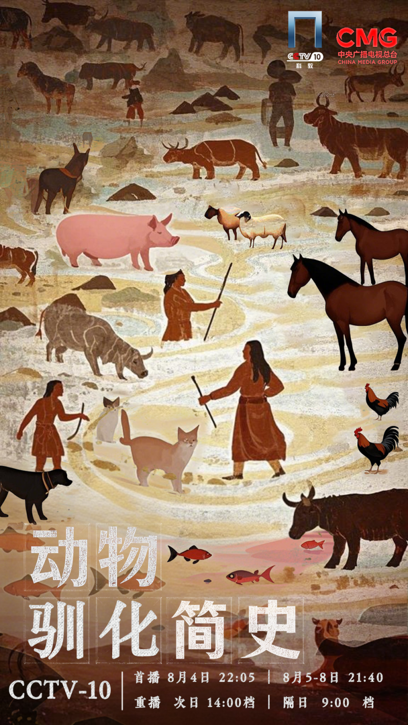 《动物驯化简史》(第一季)开播！揭秘改写人类命运的驯化传奇