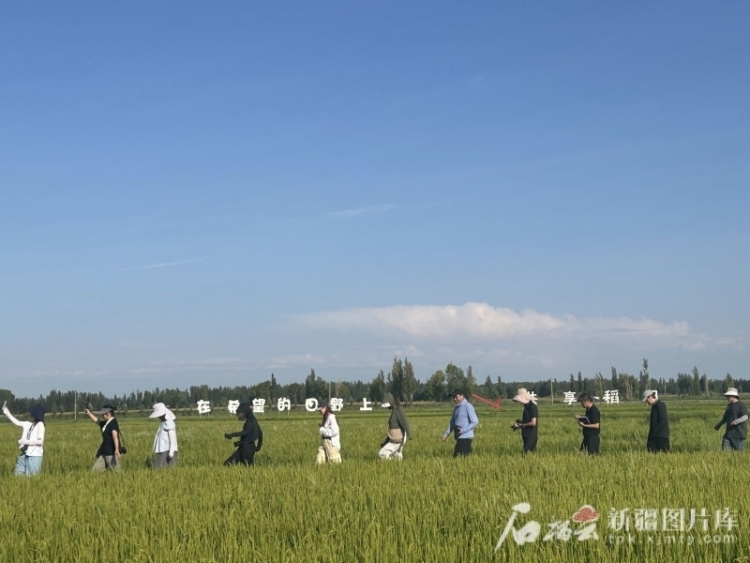 治水兴水看新疆丨百年大渠成就“塞外江南”