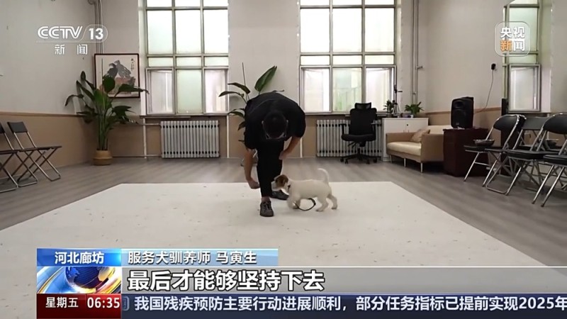 宠物服务招聘增速超72% 年轻人纷纷加入这一新兴行业