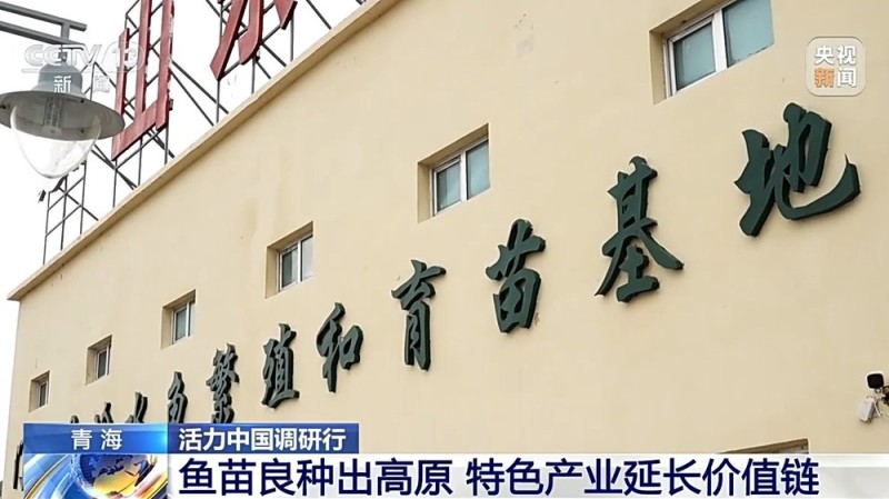 活力中国调研行丨“一季火”到“四季新” 高原小城打造文旅新名片