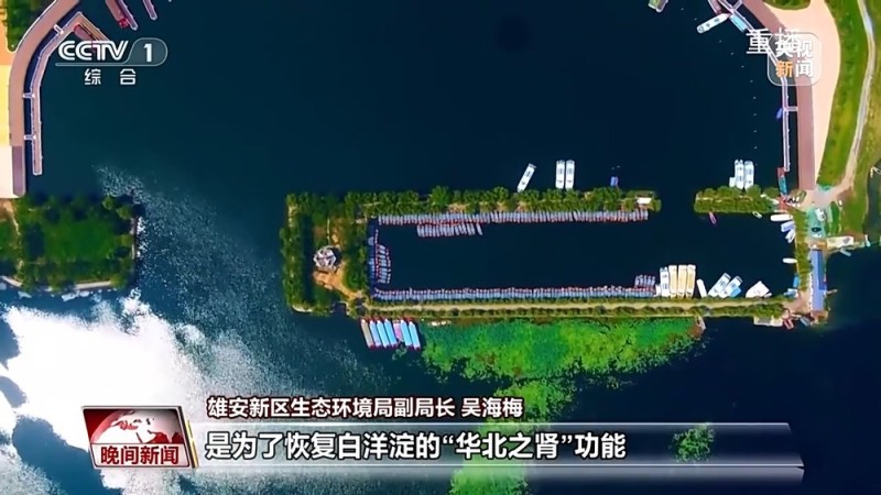 看见美丽中国丨共同守护一泓清水 在藕花深处看生态蝶变