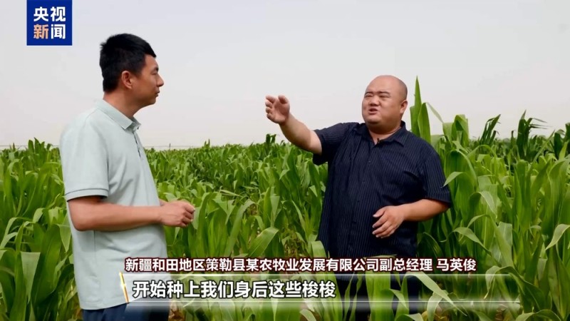 沙漠里也能养海鲜、种水稻？看新疆如何“点沙成金”