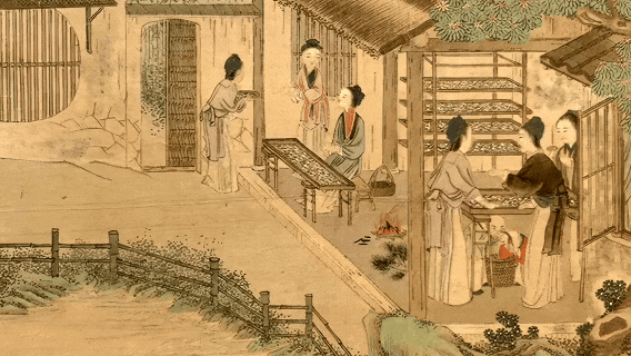 《动物驯化简史》(第一季)开播！揭秘改写人类命运的驯化传奇