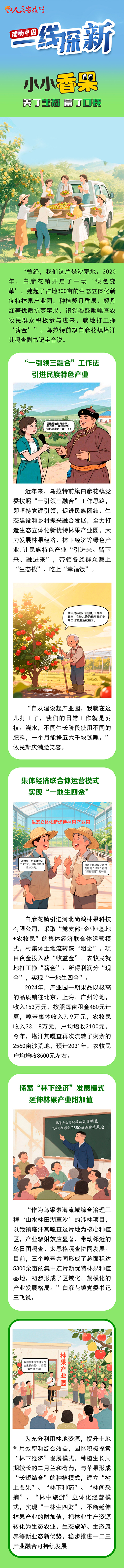 【理响中国・一线探新】手绘 | 小小香果美了生态、富了口袋