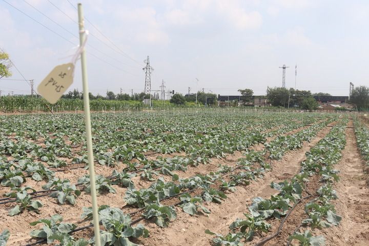细节里的“和合与共”