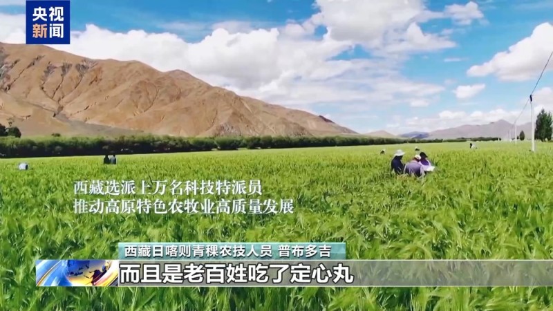 辉煌60载 魅力新西藏丨雪域高原焕新颜！西藏民众共绘幸福答卷