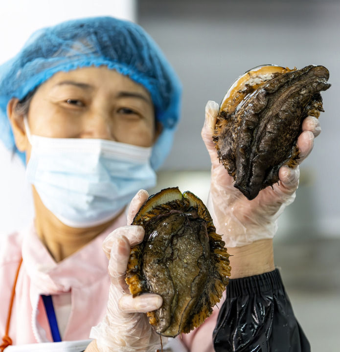 精耕深蓝，加快建设海洋强国――“中国经济圆桌会”聚焦海洋经济高质量发展