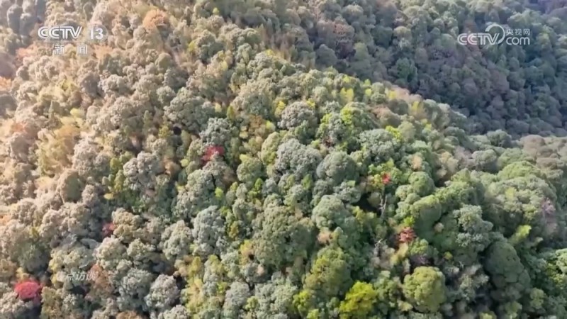 焦点访谈 | 如何将绿水青山转化为金山银山？各地交出满意答卷