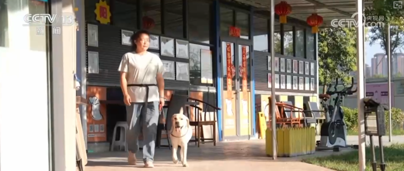 年轻人端起“新饭碗” 职业“上新”折射经济发展动能之变