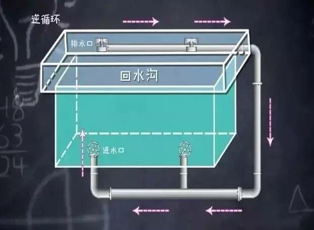 被吸住溺亡！泳池这个地方快远离