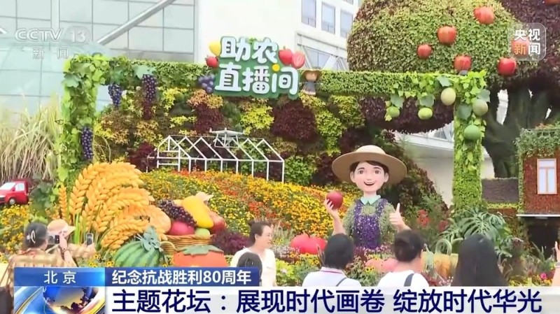 10组主题花坛亮相长安街沿线 纪念抗战胜利80周年