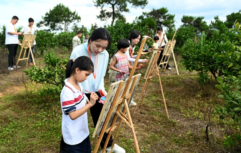 从短期实践到长效支持、从“输血”到“造血”、从付出到收获――一份来自西部的“青春实践报告”