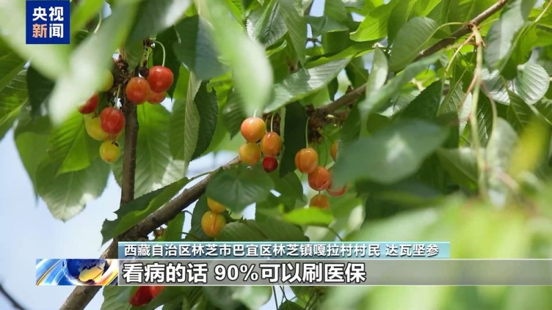 辉煌60载 魅力新西藏丨雪域高原焕新颜！西藏民众共绘幸福答卷