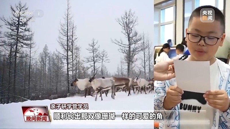看见美丽中国丨停伐十年 看“绿色宝库”大兴安岭的转型路→