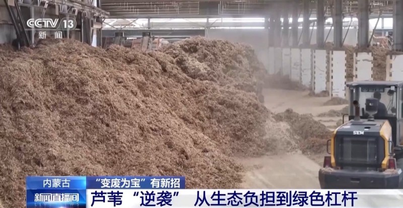 1000个废旧塑料餐盒变身3D打印椅 “变废为宝”又有新招