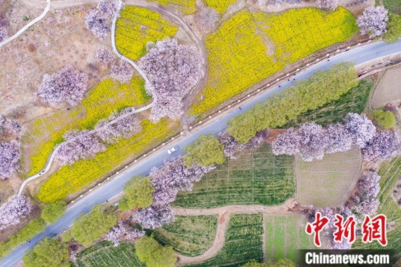 人这一辈子,一定要去一趟西藏!