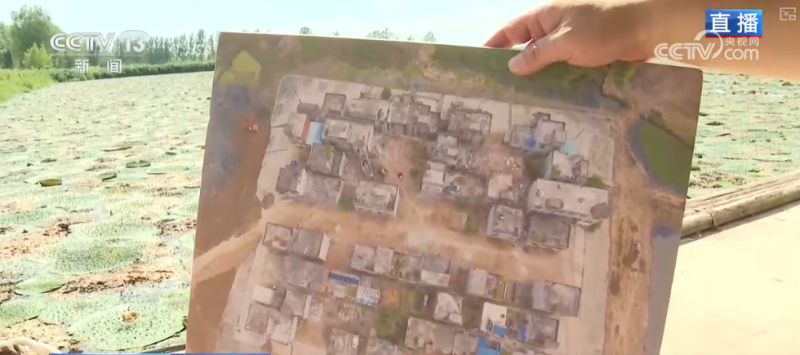 “水患”化“水利” 因地制宜发展特色种植 结出乡村振兴“共富果”