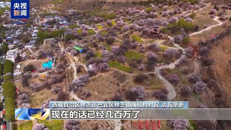 辉煌60载 魅力新西藏丨雪域高原焕新颜！西藏民众共绘幸福答卷