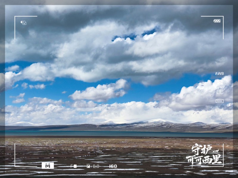 守护可可西里｜原来，你是这样的可可西里！