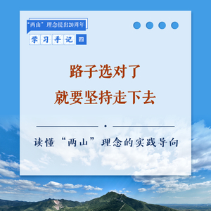 学习手记 | 路子选对了就要坚持走下去——读懂“两山”理念的实践导向
