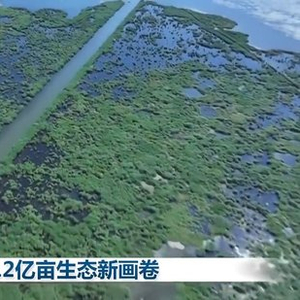 感知生态之变丨山水工程绘就1.2亿亩生态新画卷
