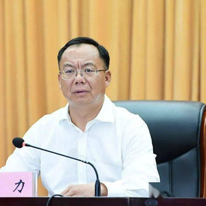 云南官宣：市委原书记王力被查