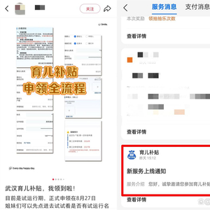 部分地区透露：育儿补贴申领系统8月26日到27日正式上线