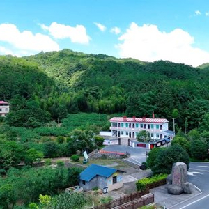 近观“两山”丨青山蝶变幸福靠山