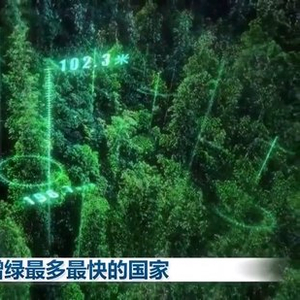 感知生态之变丨我国成为全球增绿最多最快的国家