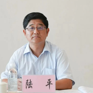 云南通报：正厅级陆平主动投案